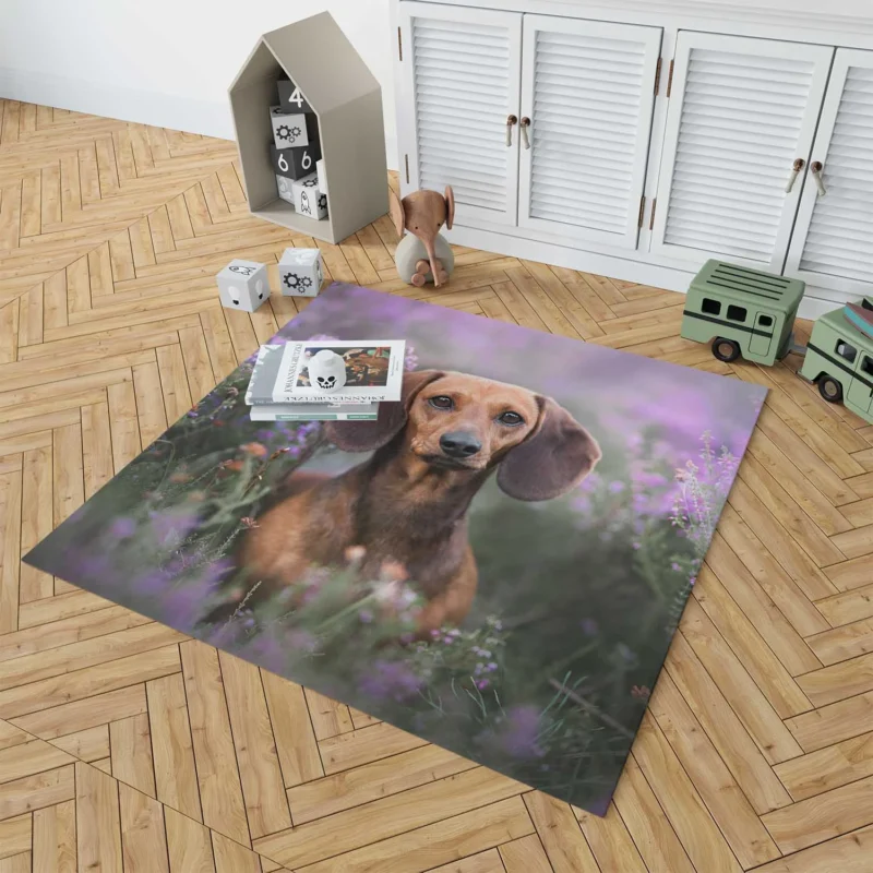 Lavender and Flowers: Dachshund Quartet Floor Rug 1