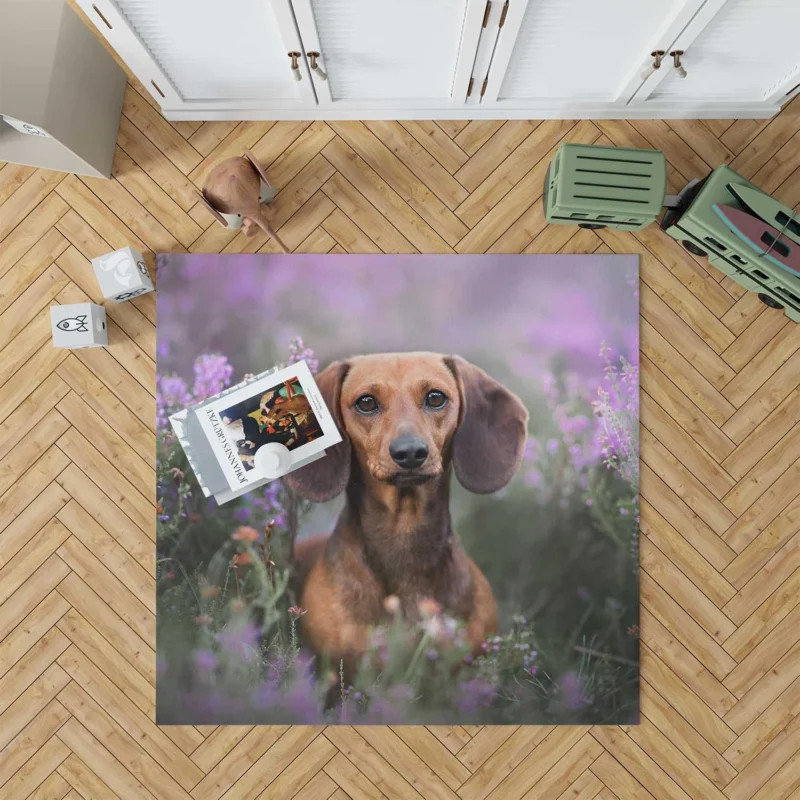 Lavender and Flowers: Dachshund Quartet Floor Rug