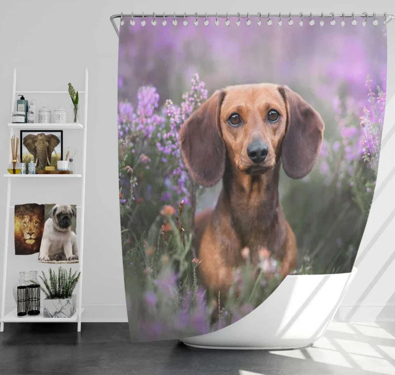 Lavender and Flowers: Dachshund Quartet Shower Curtain