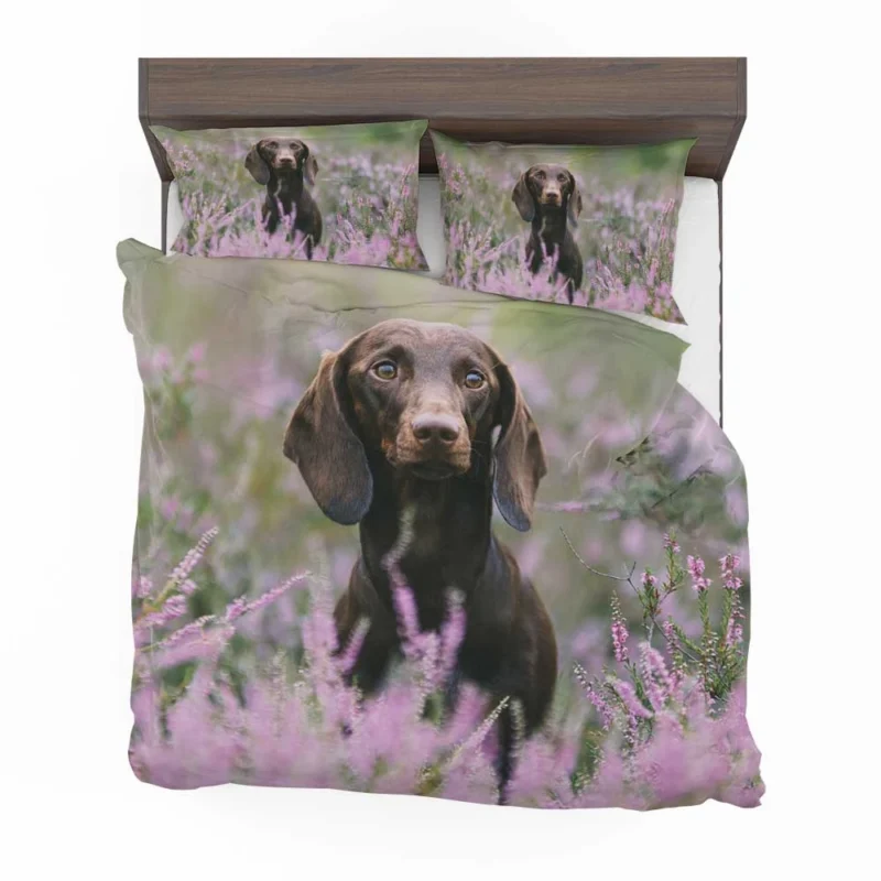 Lavender and Pink Flowers: Dachshund Quartet Bedding Set 1