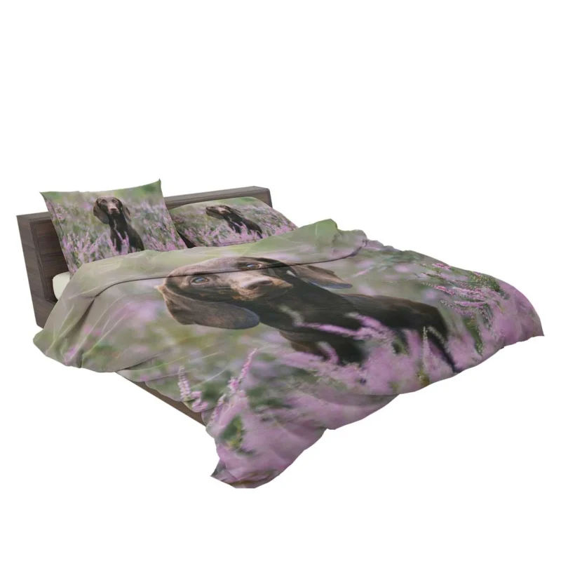 Lavender and Pink Flowers: Dachshund Quartet Bedding Set 2