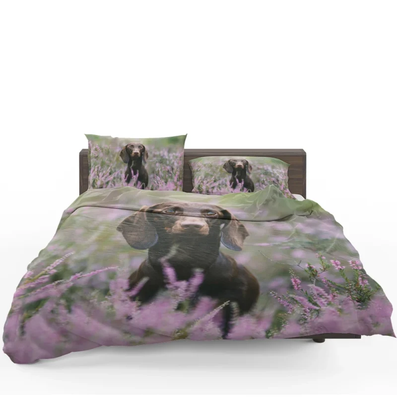 Lavender and Pink Flowers: Dachshund Quartet Bedding Set