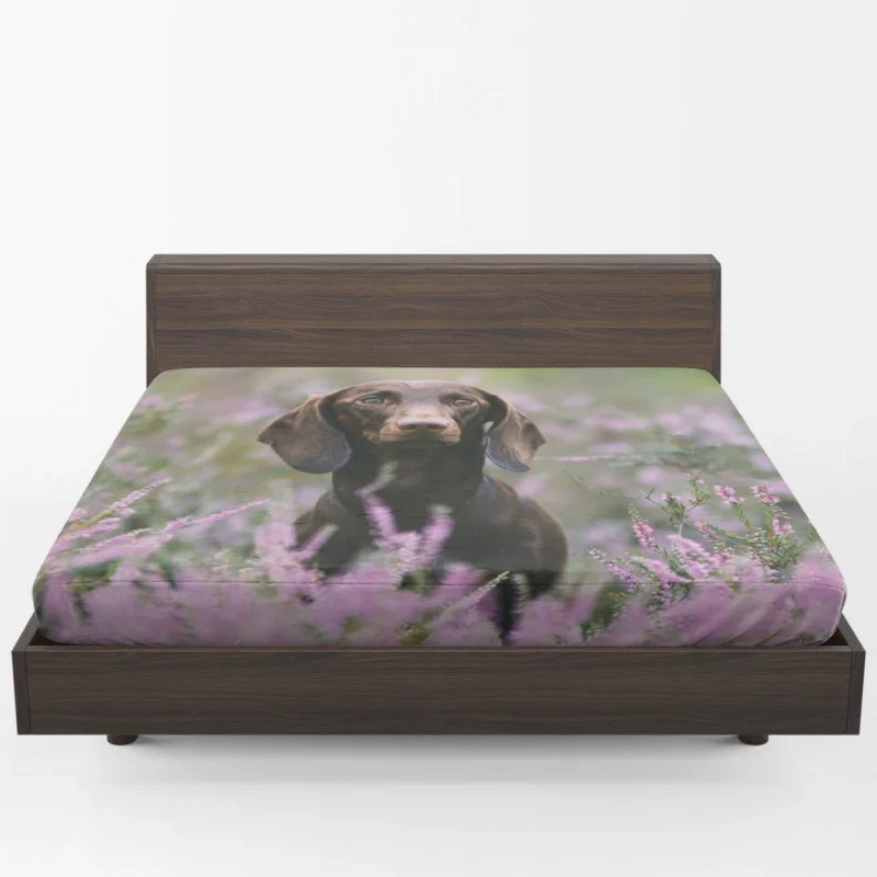 Lavender and Pink Flowers: Dachshund Quartet Fitted Sheet 1