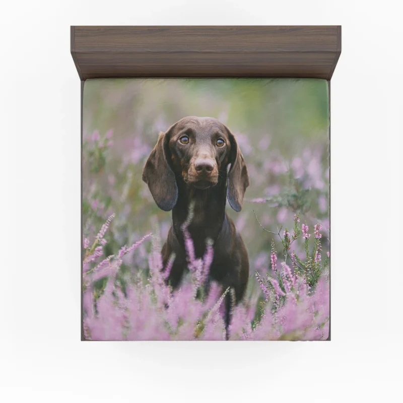 Lavender and Pink Flowers: Dachshund Quartet Fitted Sheet