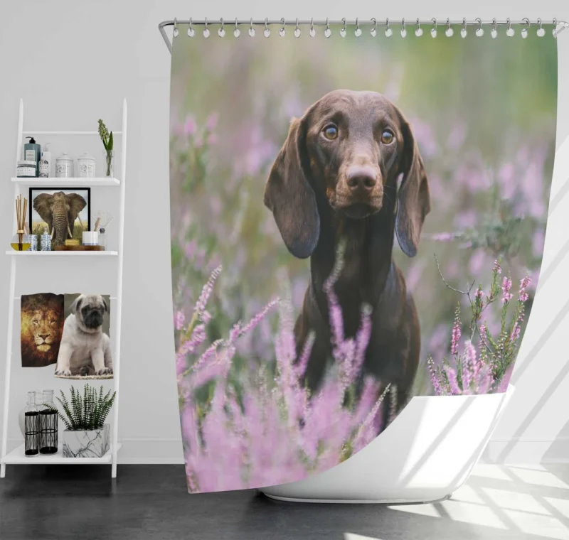 Lavender and Pink Flowers: Dachshund Quartet Shower Curtain