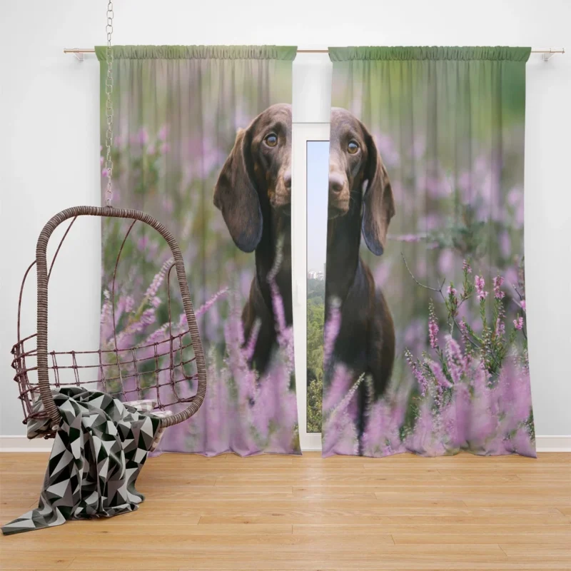 Lavender and Pink Flowers: Dachshund Quartet Window Curtain