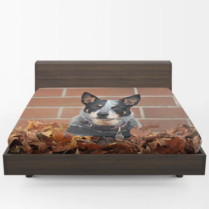 Leaf and Nature Beauty: Australian Cattle Dog Fitted Sheet 1