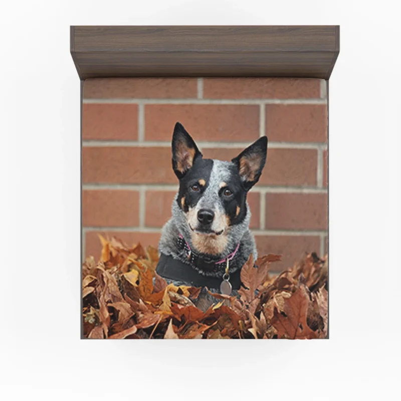 Leaf and Nature Beauty: Australian Cattle Dog Fitted Sheet
