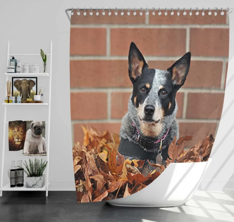 Leaf and Nature Beauty: Australian Cattle Dog Shower Curtain