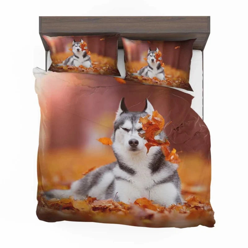 Leafy Beauty: Husky Depth of Field in Fall Bedding Set 1