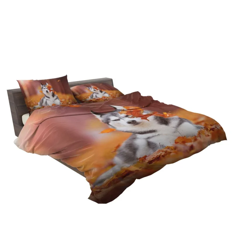 Leafy Beauty: Husky Depth of Field in Fall Bedding Set 2