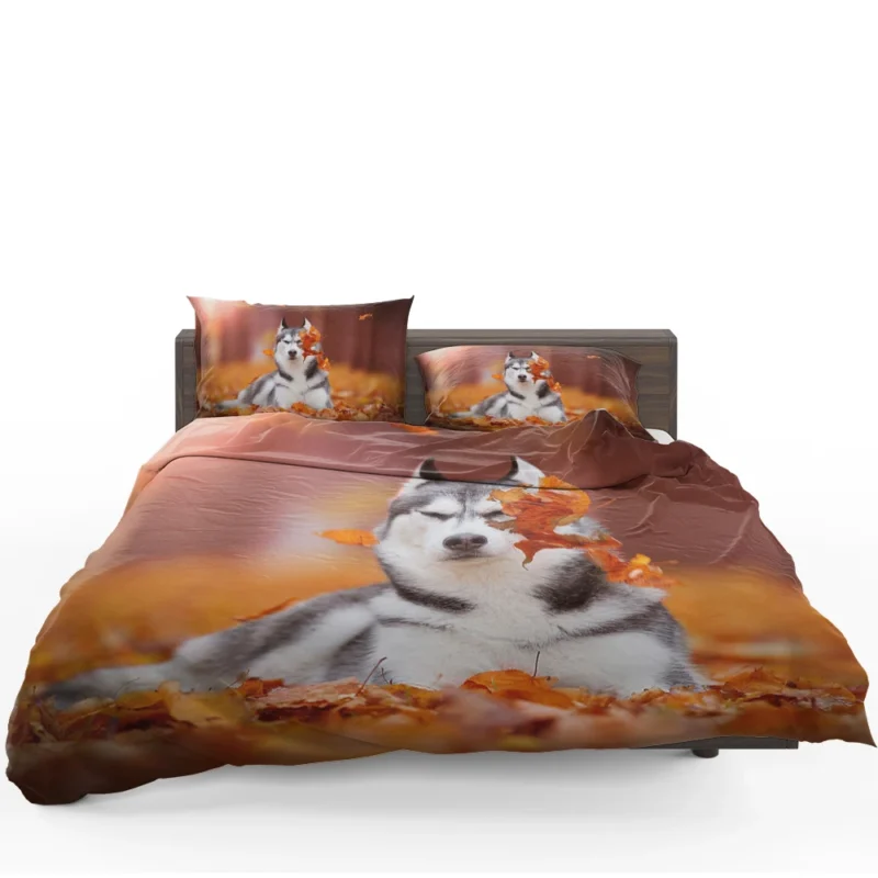 Leafy Beauty: Husky Depth of Field in Fall Bedding Set