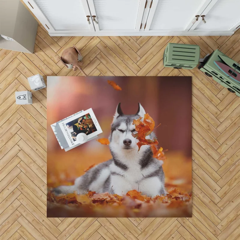 Leafy Beauty: Husky Depth of Field in Fall Floor Rug