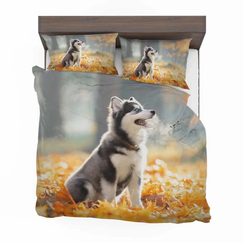 Leafy Puppy Playground: Siberian Husky Quartet Bedding Set 1