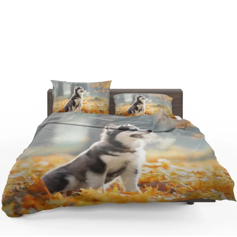 Leafy Puppy Playground: Siberian Husky Quartet Bedding Set