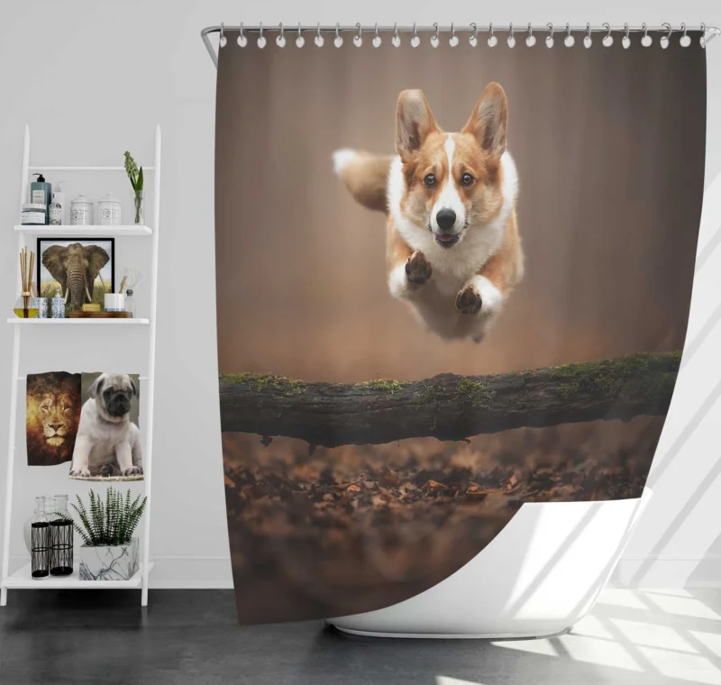 Leaping Corgi Over a Log Quartet Shower Curtain