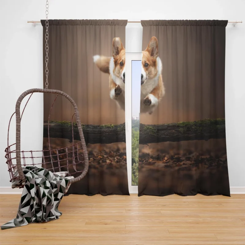 Leaping Corgi Over a Log Quartet Window Curtain