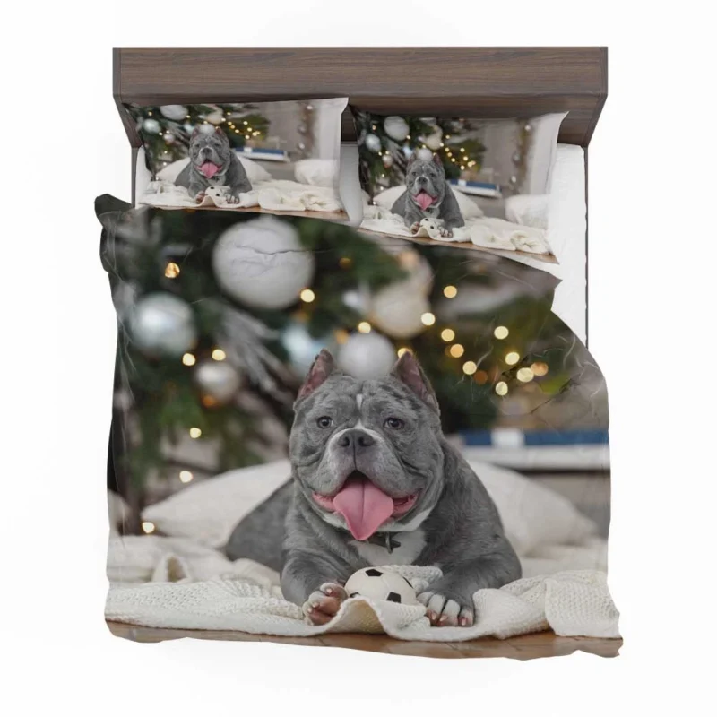 Little Canine Majesty: Pit Bull Quartet Bedding Set 1