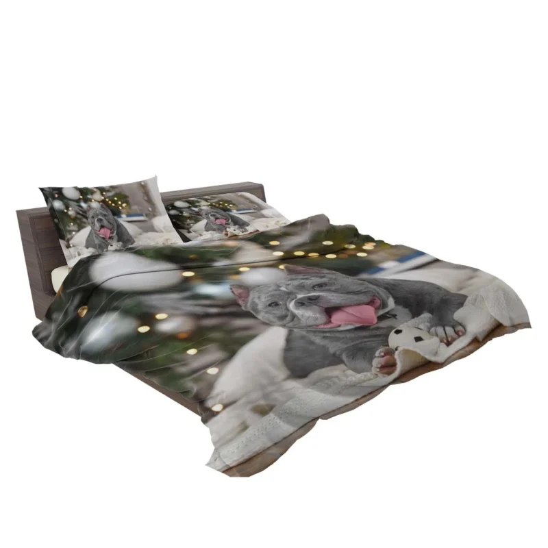 Little Canine Majesty: Pit Bull Quartet Bedding Set 2