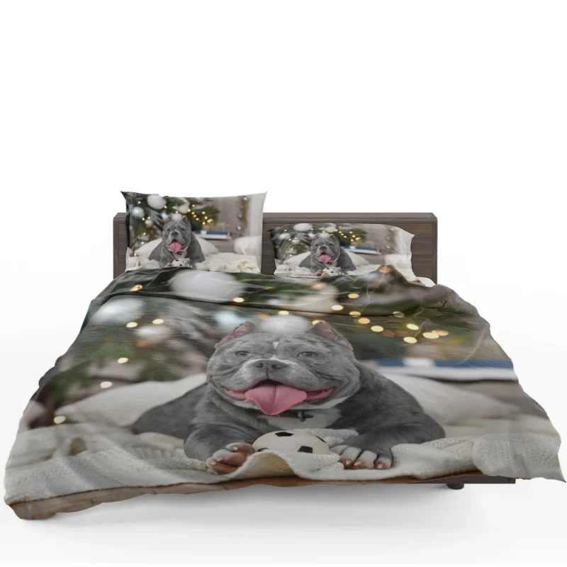 Little Canine Majesty: Pit Bull Quartet Bedding Set