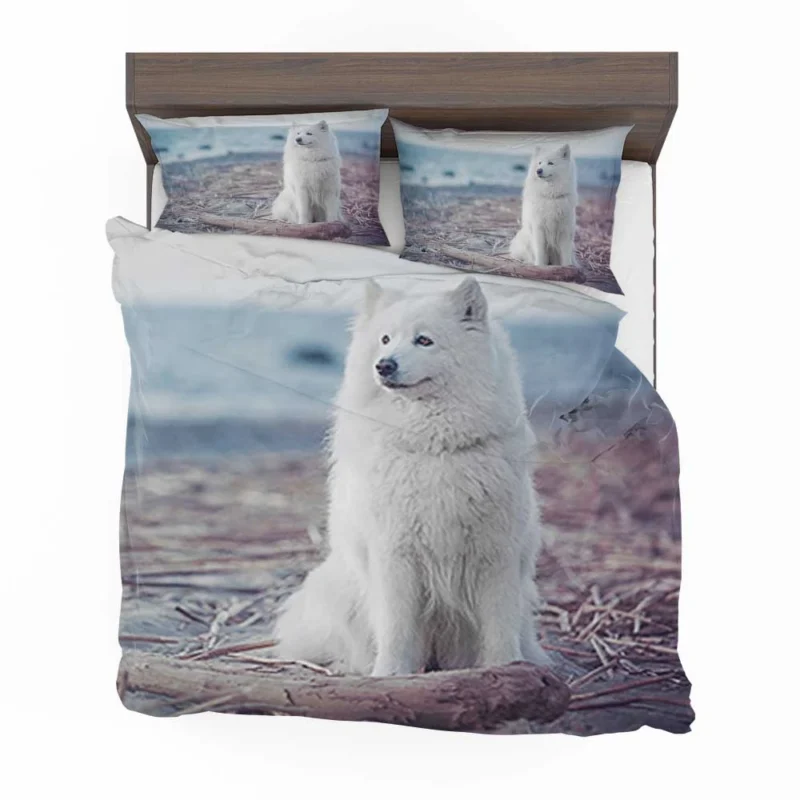 Little Charm: Samoyed Quartet Bedding Set 1