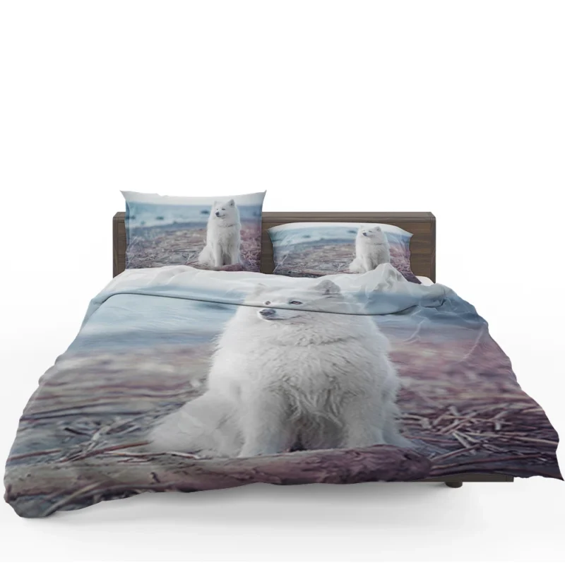 Little Charm: Samoyed Quartet Bedding Set