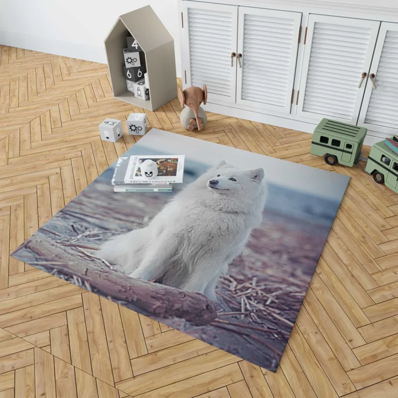 Little Charm: Samoyed Quartet Floor Rug 1