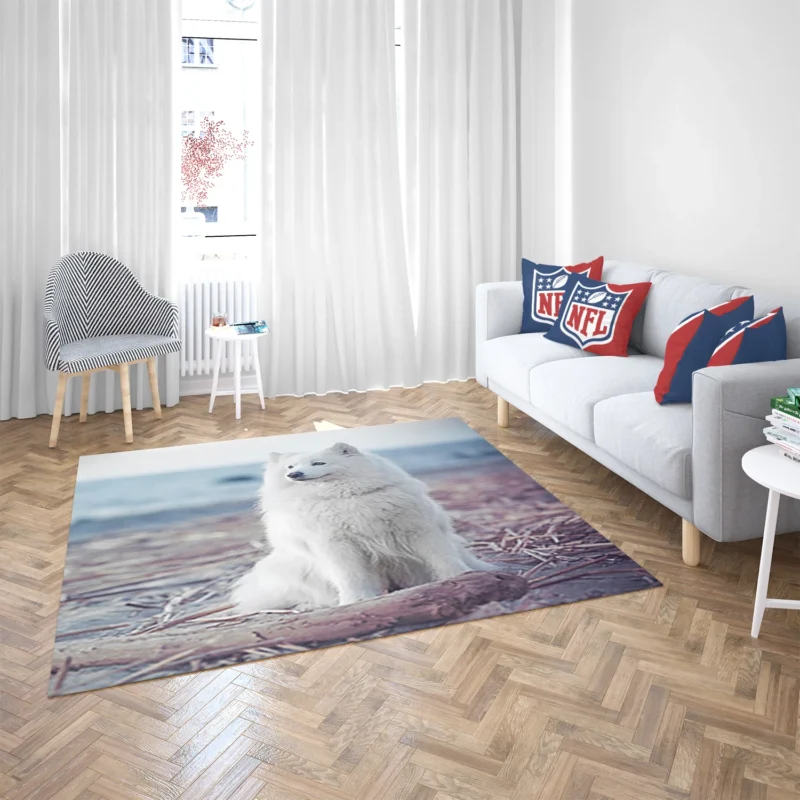 Little Charm: Samoyed Quartet Floor Rug 2