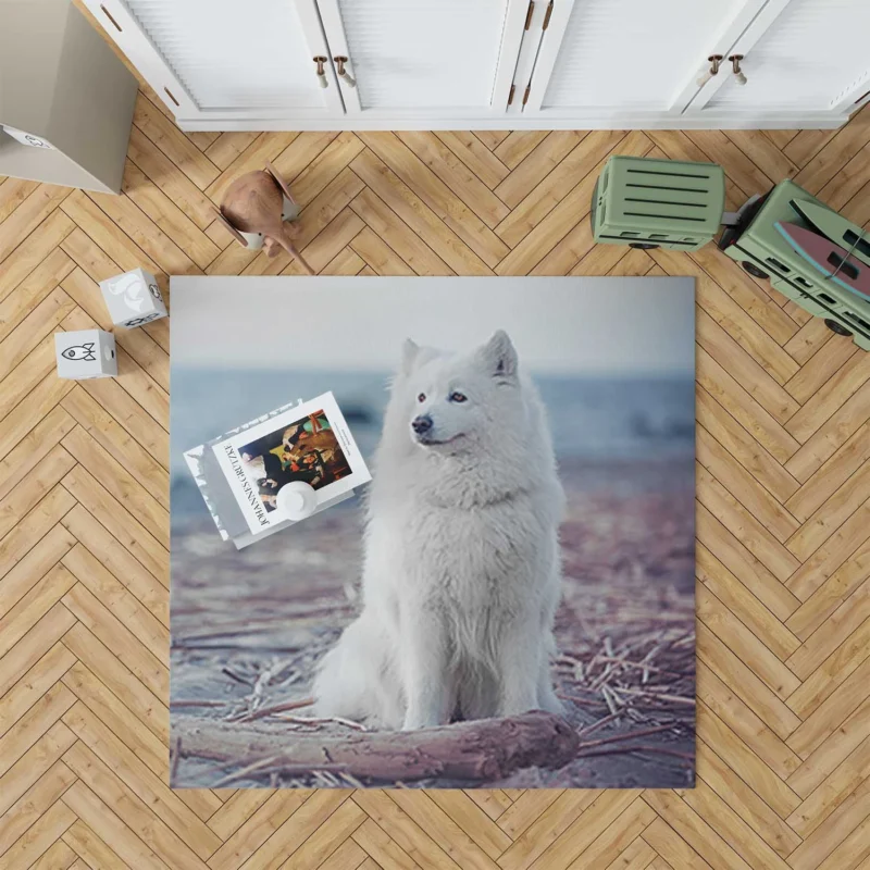 Little Charm: Samoyed Quartet Floor Rug