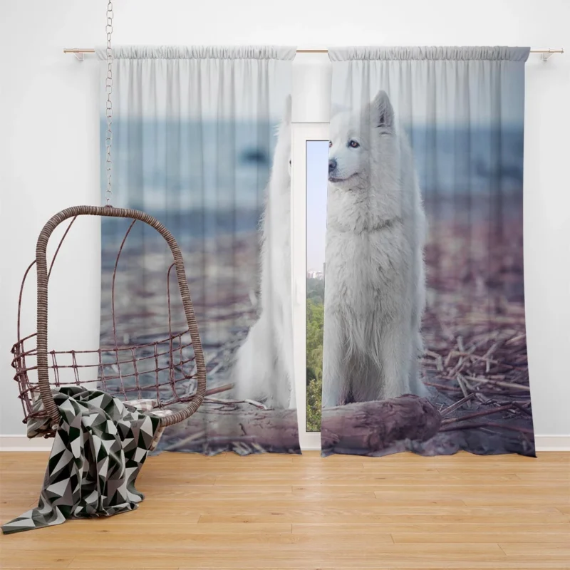 Little Charm: Samoyed Quartet Window Curtain