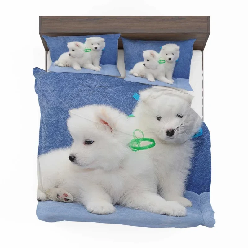 Little Samoyed Puppy: Quartet Bedding Set 1