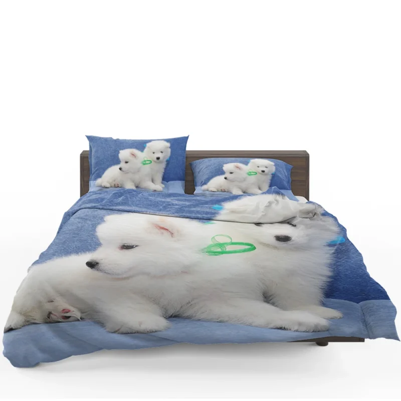 Little Samoyed Puppy: Quartet Bedding Set