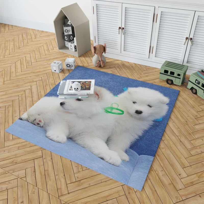 Little Samoyed Puppy: Quartet Floor Rug 1