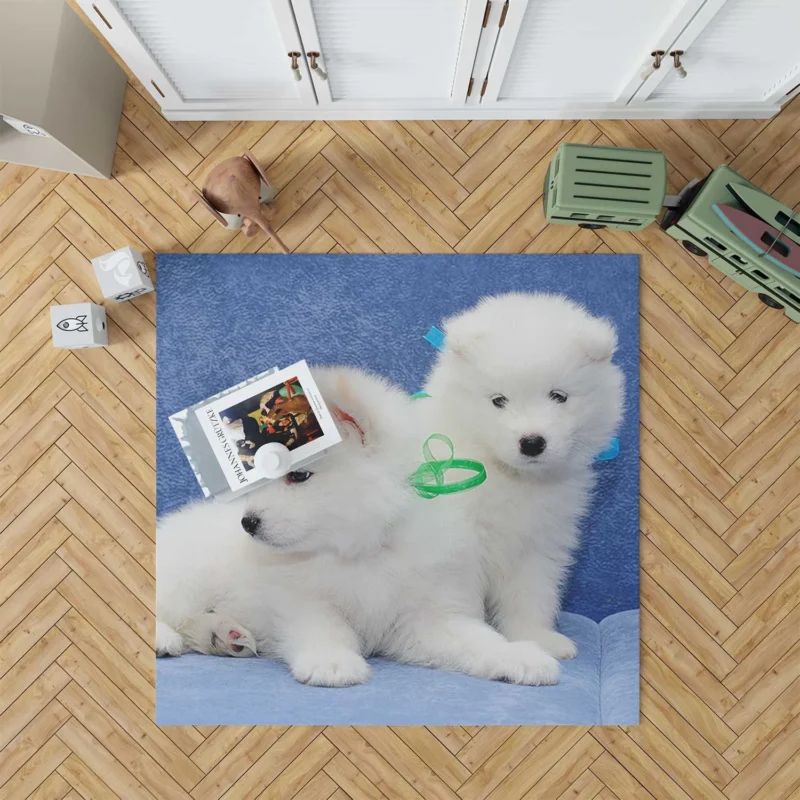 Little Samoyed Puppy: Quartet Floor Rug