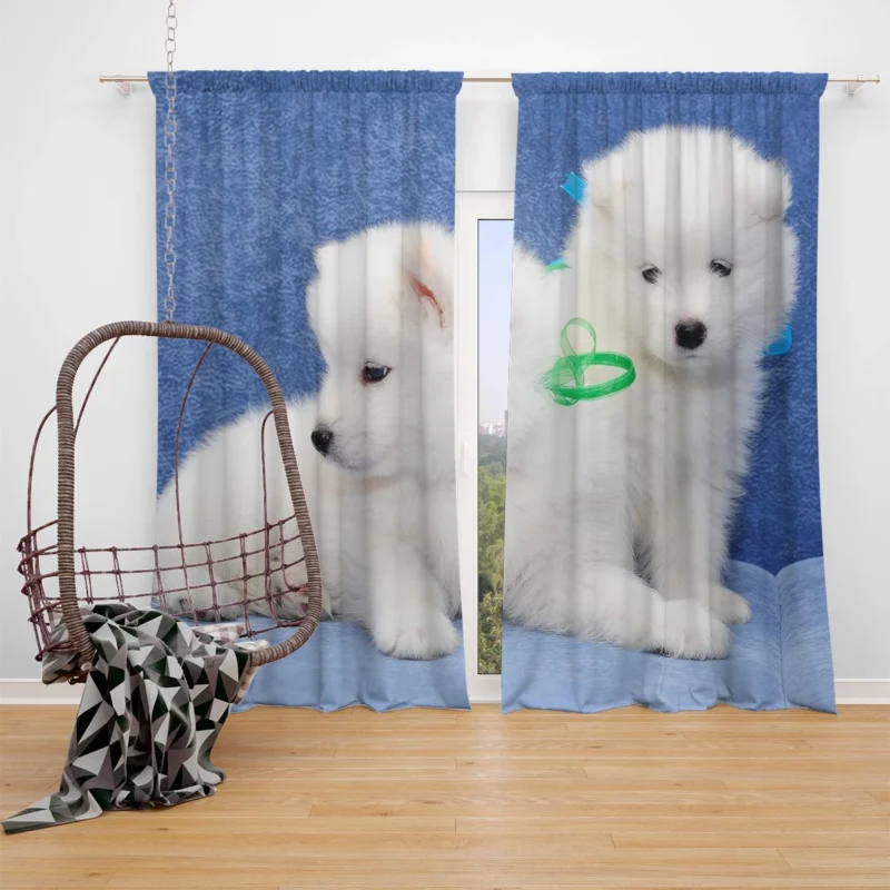 Little Samoyed Puppy: Quartet Window Curtain