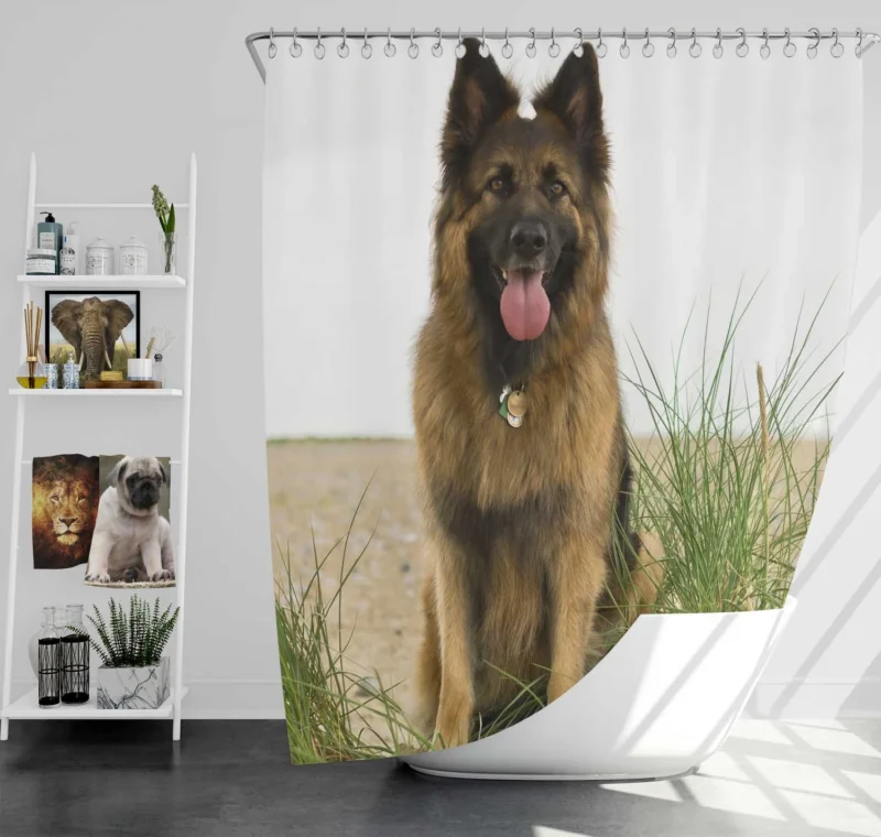 Long Haired German Shepherd: Vision of Elegance Shower Curtain