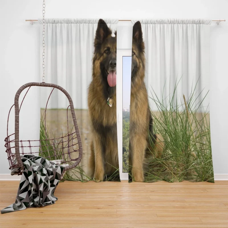 Long Haired German Shepherd: Vision of Elegance Window Curtain