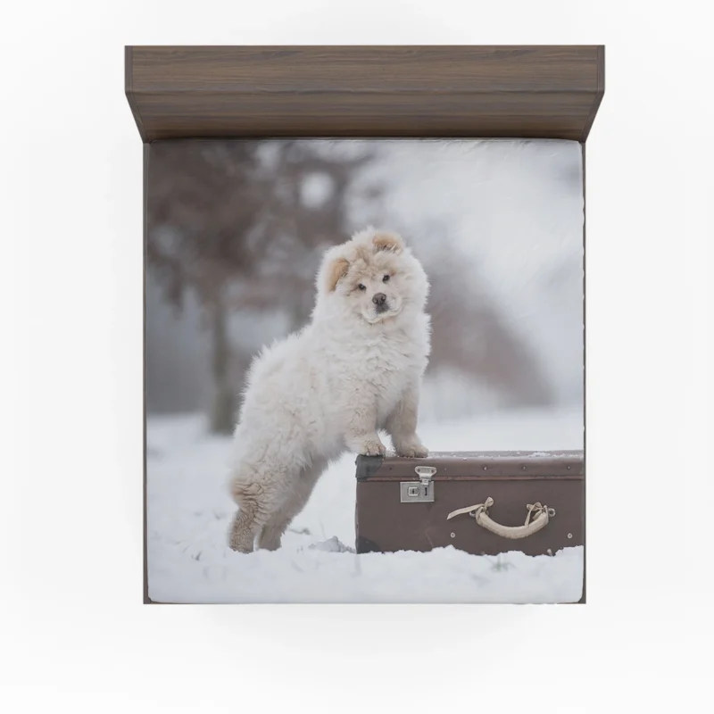 Lovable Bauble: Chow Chow Puppies Fitted Sheet