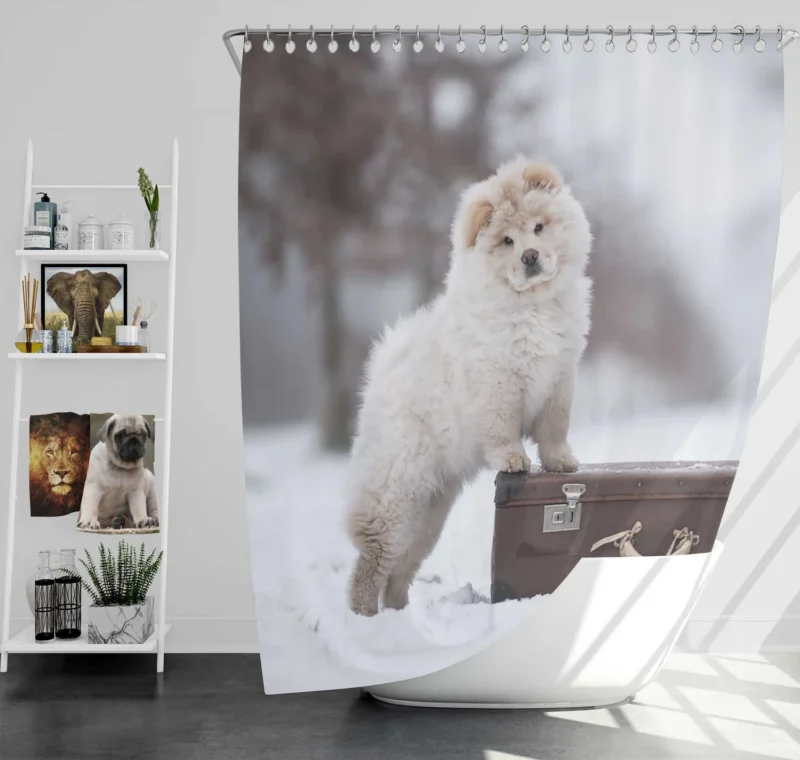 Lovable Bauble: Chow Chow Puppies Shower Curtain