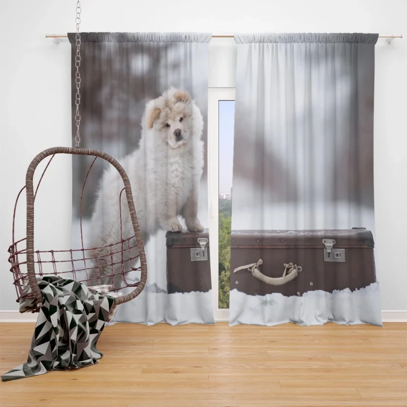 Lovable Bauble: Chow Chow Puppies Window Curtain