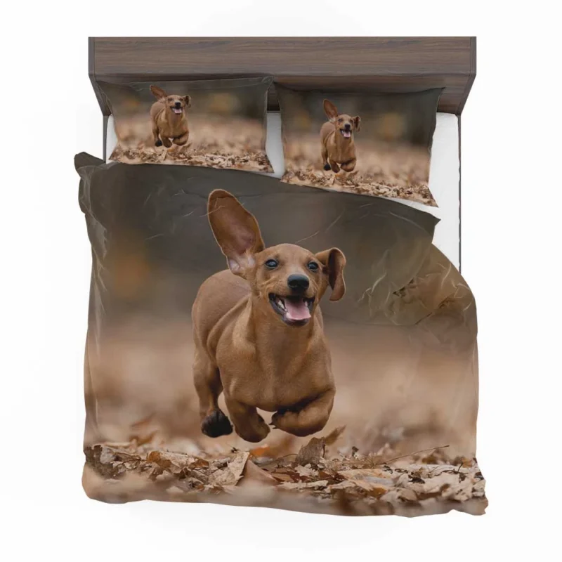 Lovable Dachshund Delight: Fourfold Quartet Bedding Set 1