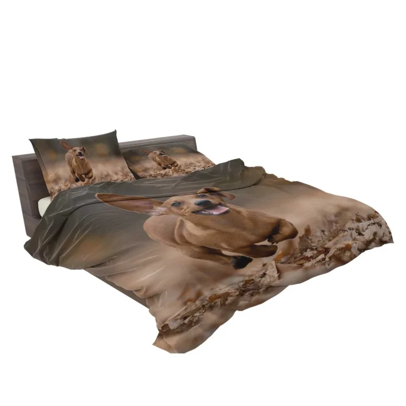 Lovable Dachshund Delight: Fourfold Quartet Bedding Set 2