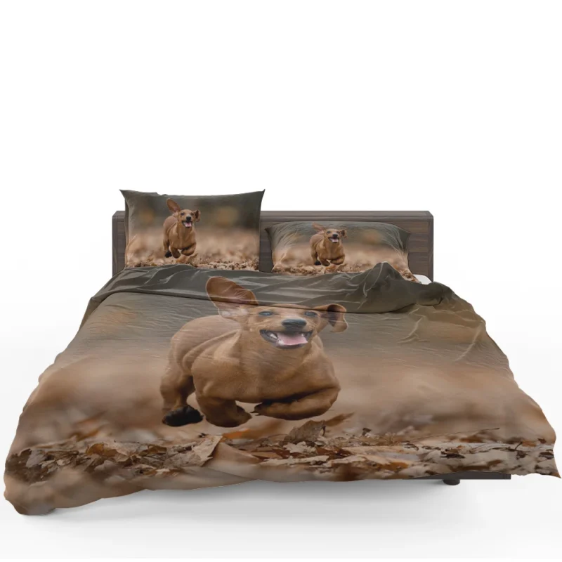 Lovable Dachshund Delight: Fourfold Quartet Bedding Set