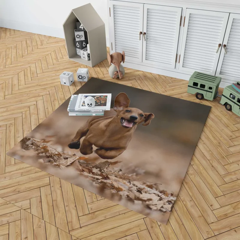 Lovable Dachshund Delight: Fourfold Quartet Floor Rug 1