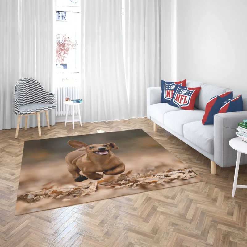 Lovable Dachshund Delight: Fourfold Quartet Floor Rug 2