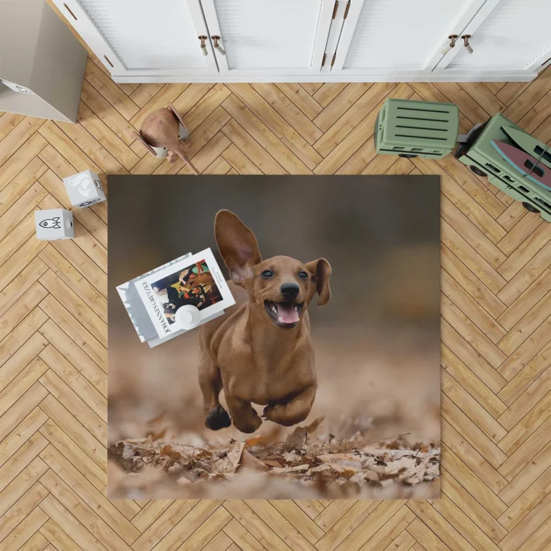 Lovable Dachshund Delight: Fourfold Quartet Floor Rug