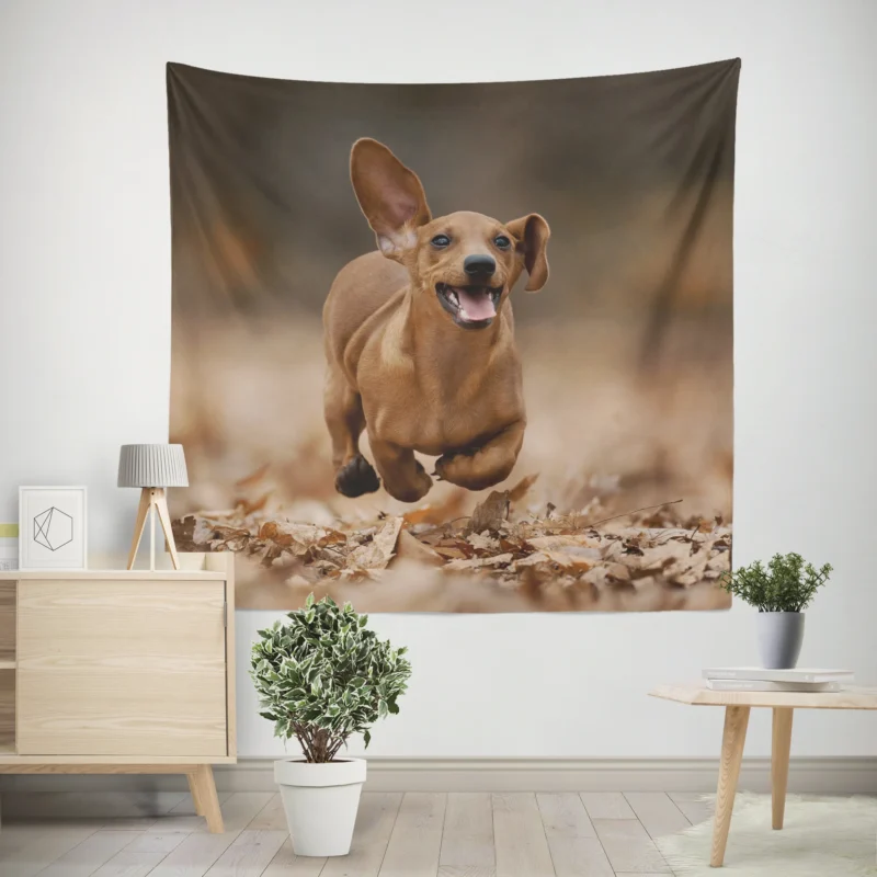 Lovable Dachshund Delight  Fourfold Quartet Wall Tapestry