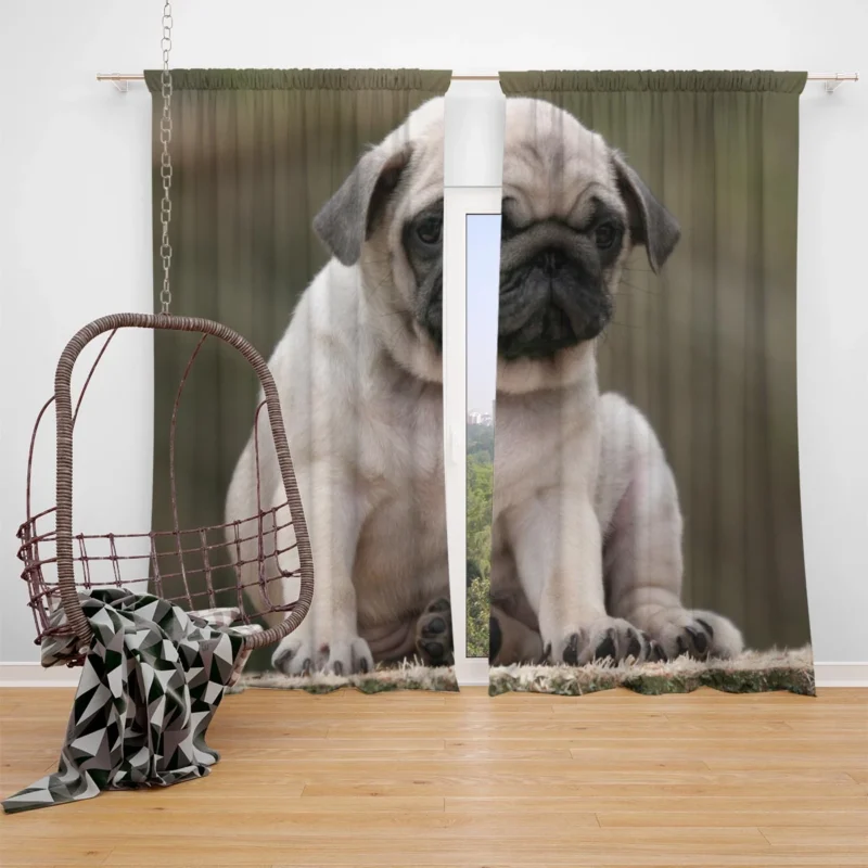 Loving Canine Beauty: Pug Quartet Window Curtain