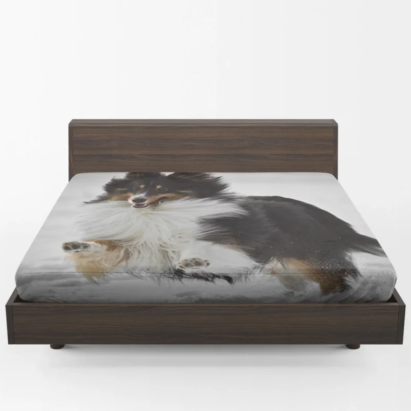 Loving Collie Beauty: Rough Collie Quartet Fitted Sheet 1