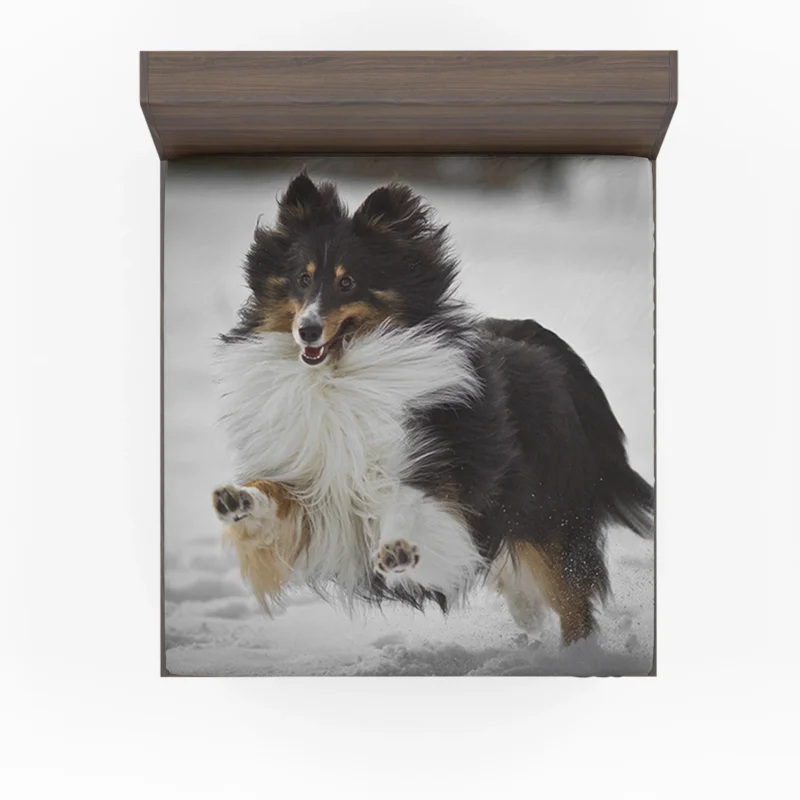 Loving Collie Beauty: Rough Collie Quartet Fitted Sheet